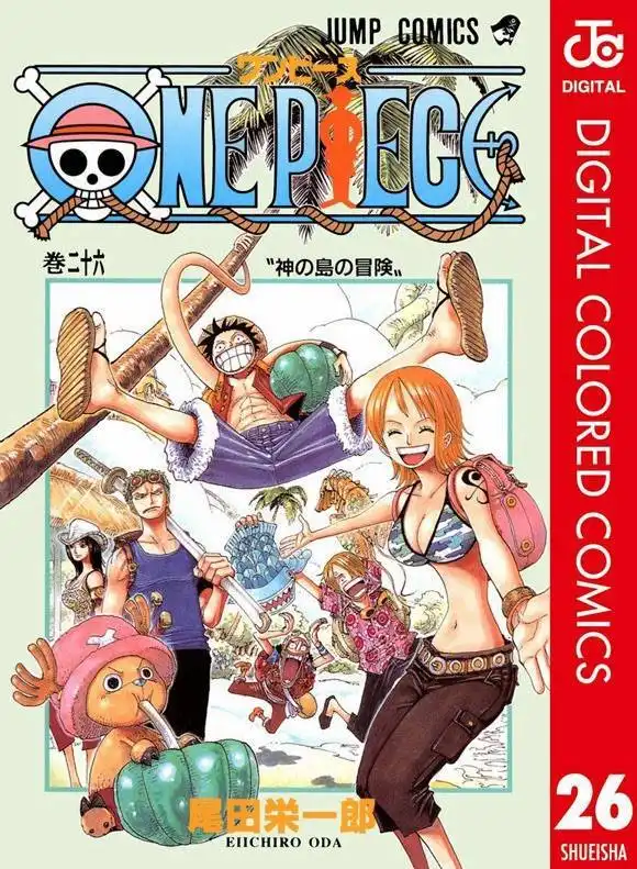 One Piece - Digital Colored Comics Chapter 237 2